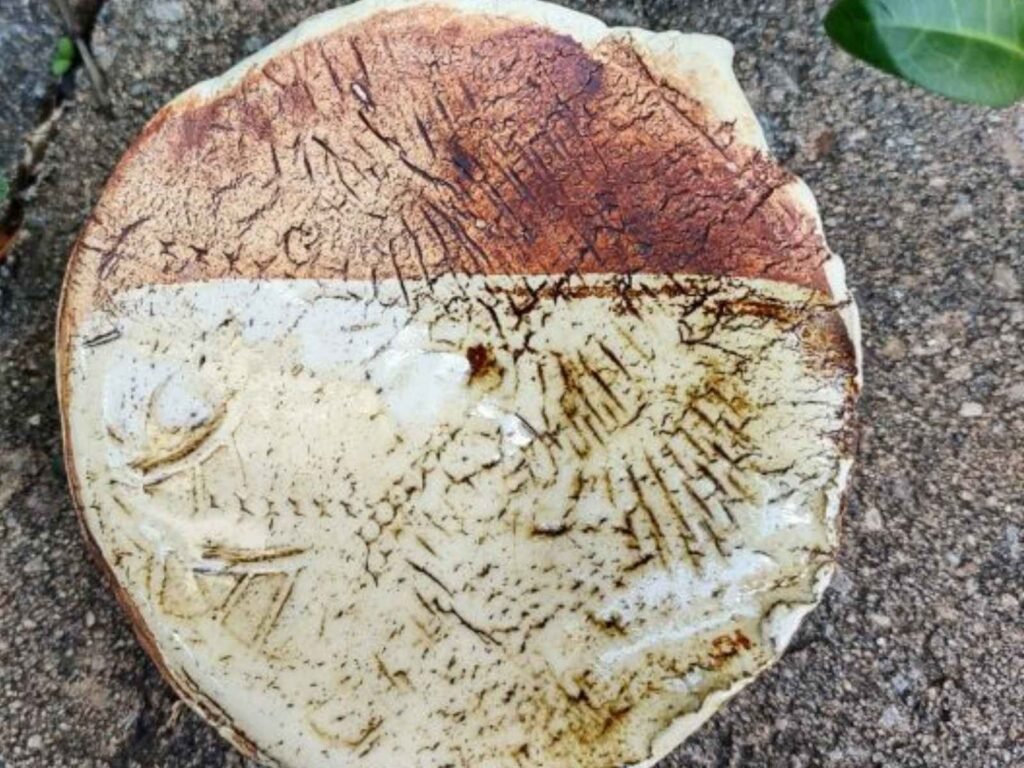 How Using Red Iron Oxide Washes Look Under A Clear Glaze by Red Deer Ceramic Artist