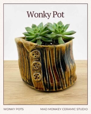 Handmade wonky ceramic mini pot with brown and black striped glaze and decorative buttons by Mad Monkey Ceramic Studio in Red Deer, shown with succulents